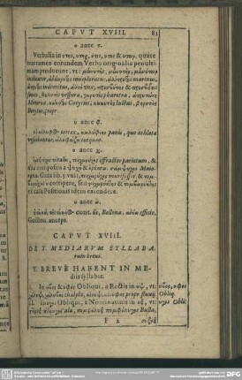 Caput XVIII. De Y. Mediarum Syllabarum breui