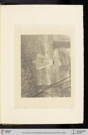 [Alfred Stieglitz, IV. Spring (1901), photogravure from original negative]