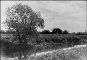 Marienwerder, Leine [Fluss]