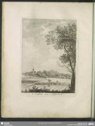 Das Seifersdorfer Thal