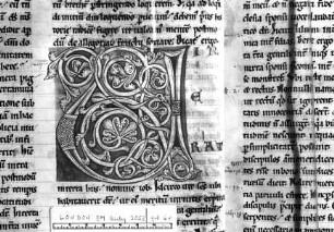 Rankeninitiale U, Folio 6 verso