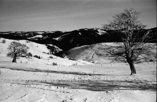 Schauinsland: Blick über Hofsgrund auf Feldberg