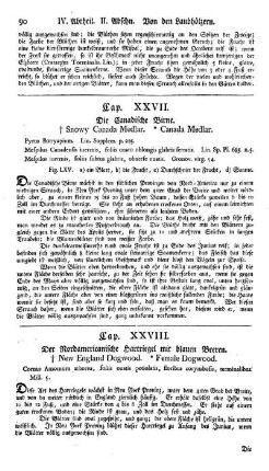Cap. XXVII. Die canadische Birne. Pyrus Botryapium. Lin.