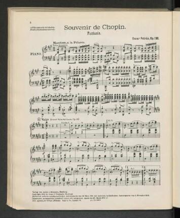 Souvenir de Chopin. Fantasie.