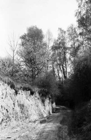 Munzingen: Schneise