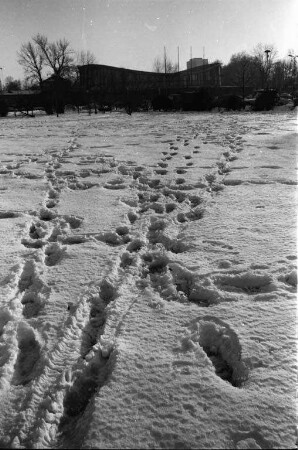 Hartnäckiger Winter 1963.