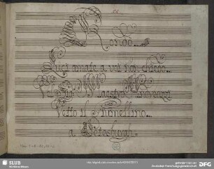 Luci amate a voi non chiedo - Mus.1-F-82,33-2 : S, orch, b