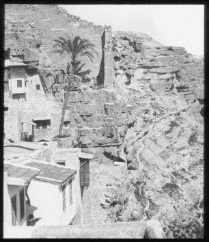 ab Palme in Marsaba