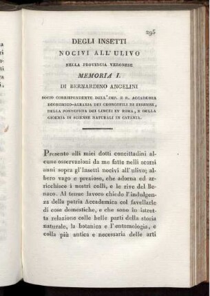 Degli Insetti Nocivi All' Ulivo nella Provincia Veronese Memoria I.