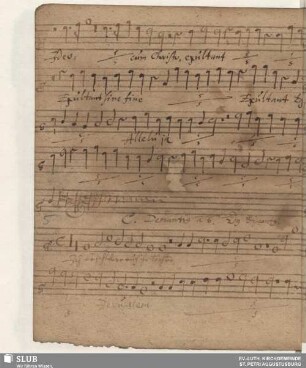 Demantius, Christoph: Ich beschwöre euch
