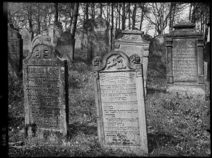 Bödigheim Jüdischer Friedhof Grabsteine