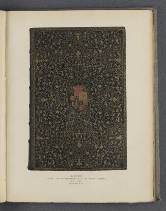 Plate XXXIV.