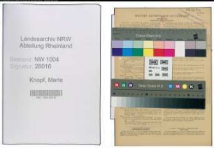 Entnazifizierung Maria Knopf , geb. 07.07.1893 (Hausangestellte)