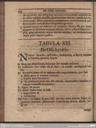 Tabula XIII. De Osse hyoide