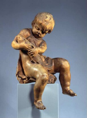 Putto mit einem Karpfen als Allegorie des Wasser