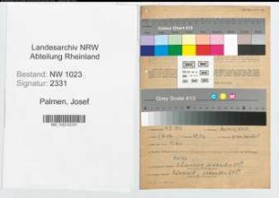 Entnazifizierung Josef Palmen , geb. 04.01.1892 (Steuerberater)