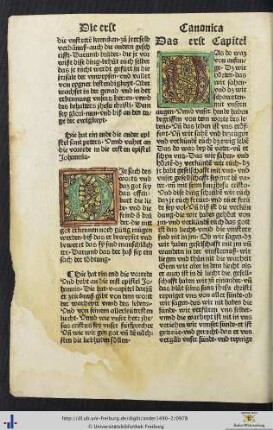 Die vorrede in die ersten epistel Johannis