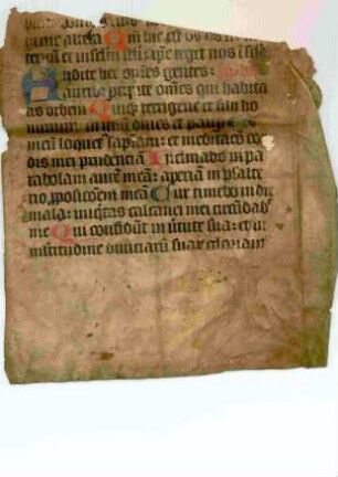 Psalterium