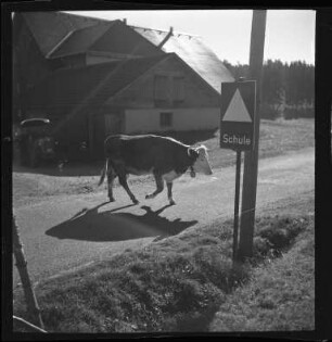 Auf dem Schulweg