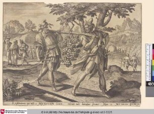 [Die Kundschafter tragen die Frucht aus Kanaan; The Spies Carrying the Fruit from Canaan]