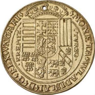 Ungarn: Wladislaw II.