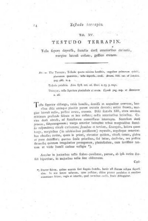 Tab. XV. Testudo Terrapin.