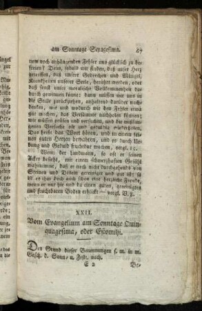XXII. Vom Evangelium am Sonntage Quinquagesima, oder Estomihi.
