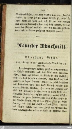 Neunter Abschnitt