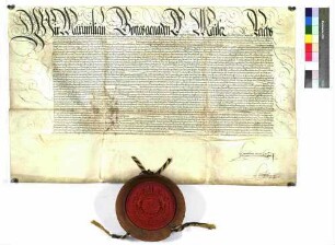 Maximilian II. belehnt den Schenken Heinrich mit den Regalien.