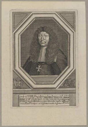Bildnis des Carol â Stein