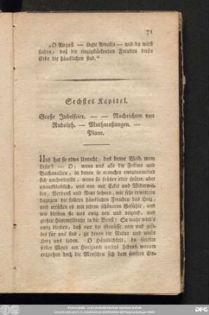 Sechstes Kapitel. Große Jubelfeier. -- Nachrichten von Rudolph. - Muthmaßungen. - Plane.