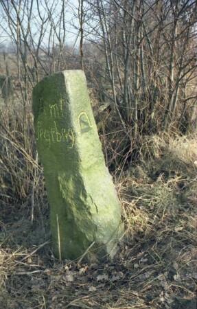 Struvenhütten / Sievershütten (Kreis Segeberg): Grenzstein zwischen Amt Segeberg und Amt Trittau: Seite Segeberg: auf Schmalseite Hufeisen-Symbol