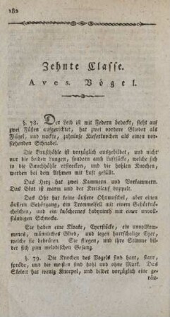 Zehnte Classe. Aves. Vögel