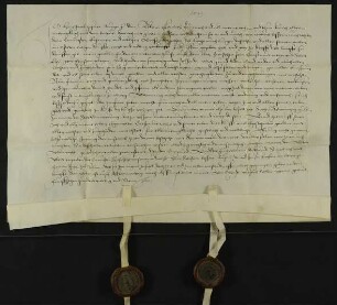 Der Hafner und Ulmer Bürger Johann Jakob verkauft dem Ratsherren und Ulmer Bürger Erasmus Roth den Garten hinter seinem Haus auf dem Münsterplatz ("auff dem Blatz") in Ulm zwischen den Häusern des Käufers und des Sebolt Ehinger sowie dem Garten des Käufers. Dafür hat er von dem Käufer 23 Gulden Ulmer Stadtwährung erhalten. Er überträgt diesem daher alle Rechte, die ihm bisher an dem Garten zugestanden haben und übernimmt die Gewährleistung für den Verkauf.