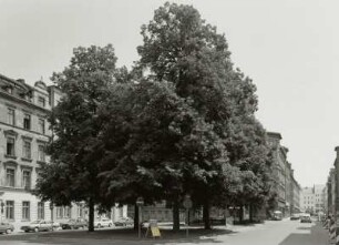 Otto-Buchwitz-Platz