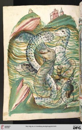 Buch III.E: Von den slangen