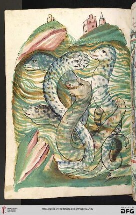 Buch III.E: Von den slangen
