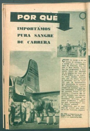 Por qué importamos pura sangre de carrera