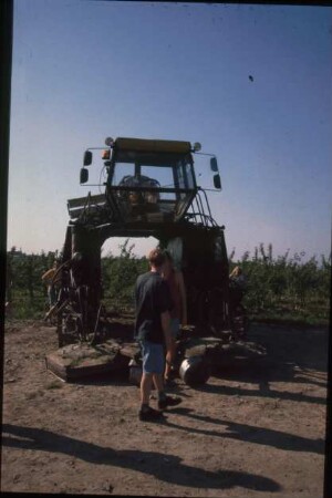 Fotografie: Obstbau, Pflegegerät, Mulchgerät