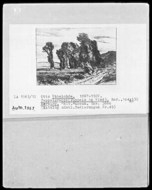 Pappelgruppe (Pappeln im Wind)