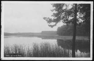 Weinböhla. Mistschänke - Großteich