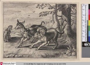 [Zwei Hunde; Two Dogs]
