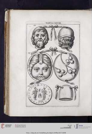 Capvt XVI: Tabvla XXVIII.