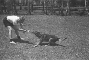 In Bogotá (Lateinamerika-Aufenthalte 1934/1942 – 2. Kolumbien 1934-1937)