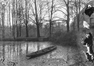 Seerosenteich mit Boot