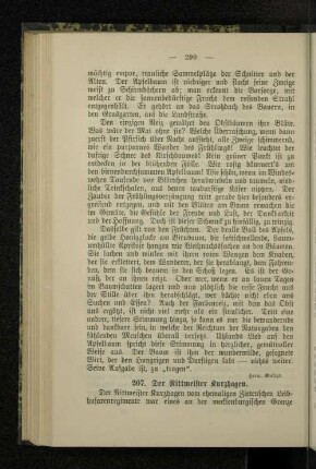 207. Der Rittmeister Kurzhagen.