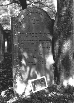 Grabstein 438 (Index: 99895655) Material: Sandstein Zustand: sehr gut Maße HxBxT: 124x63x10 cm Beschreibung: Stele mit eingezogenem Rundbogenabschluss: Grabstein 438 (1)