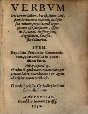 Verbum Dei carnem factum esse