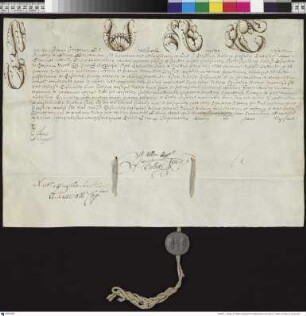 Aussteller: Pius VI. Empfänger: Erzbischof von Gnesen. Betreff: Erhebung des Ignacy Antoni Raczynski zum Bischof von Posen (kleine Ausfertigung).