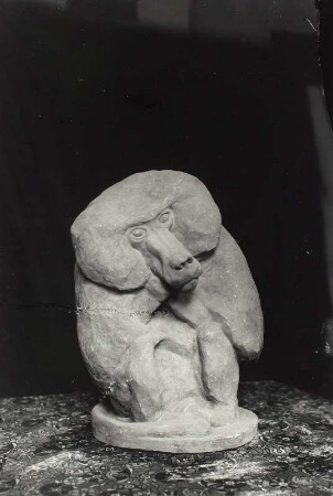 Ruhender Mantelpavian